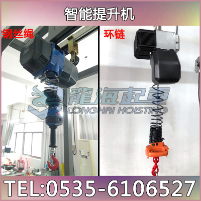 環(huán)鏈120kg/250kg智能提升機(jī) 智