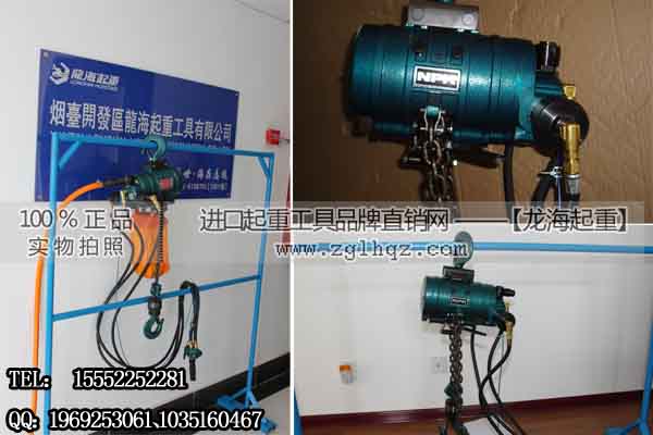 NPK氣動葫蘆250kg 以空氣為動力環(huán)
