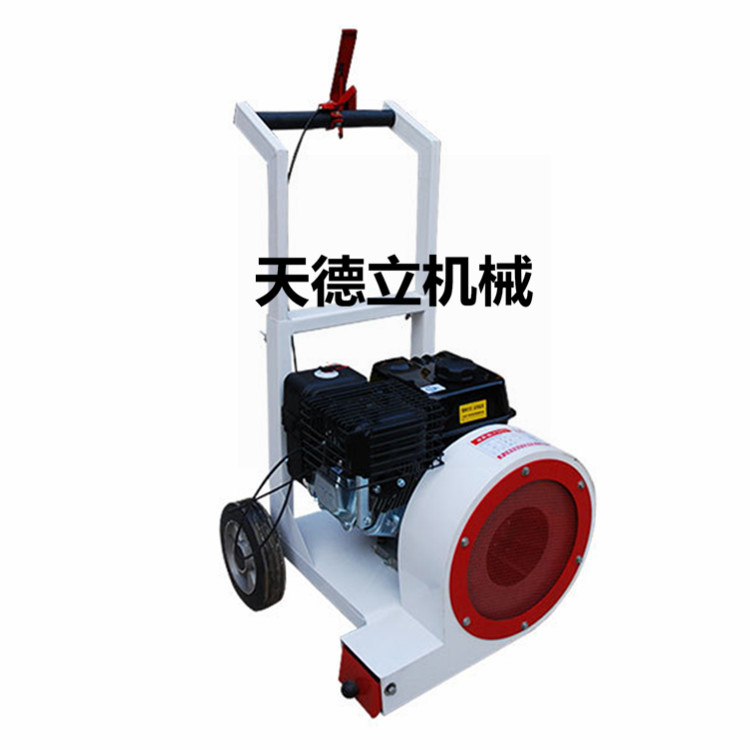 160庭院積雪落葉清掃機 吹濕除干吹風(fēng)機