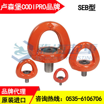 SEB M20盧森堡旋轉(zhuǎn)吊環(huán)2.5噸