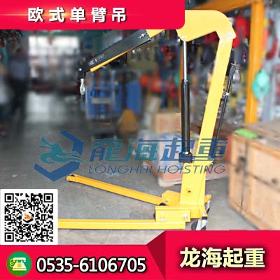 供應(yīng)歐式單臂吊P3工位載重700kg 節(jié)