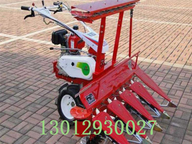 割曬機 收割機 濟寧鑫常青 收獲機 手推