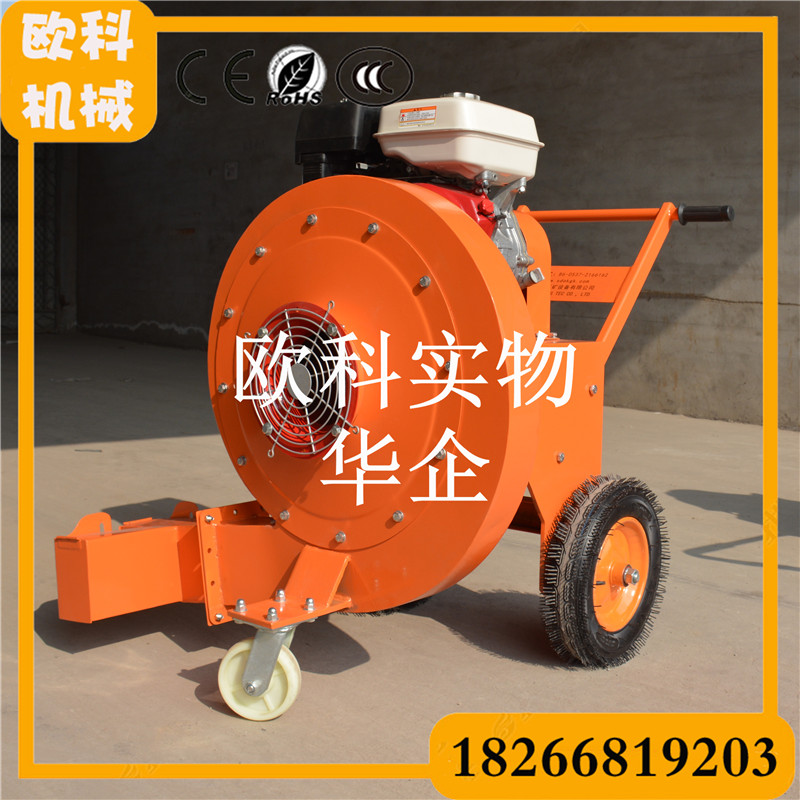 路面吹風(fēng)機(jī)  便攜式路面吹風(fēng)機(jī)