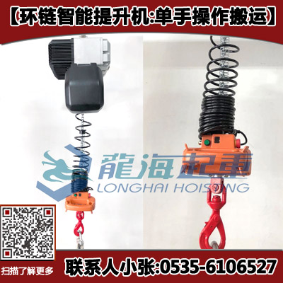 1噸環(huán)鏈智能提升機(jī)價(jià)格4萬(wàn) 智能環(huán)鏈提升