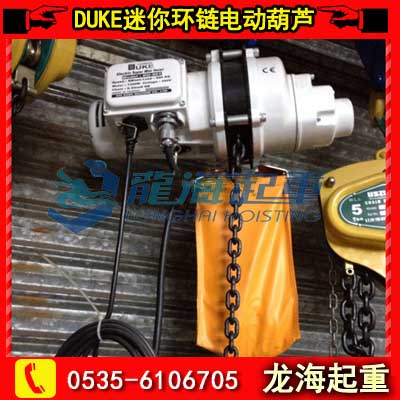 DUKE探頭電機(jī)1000kg報(bào)價(jià)，電動(dòng)葫