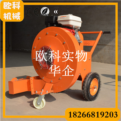 大型落葉清理機(jī) 路面灌封用吹風(fēng)機(jī)
