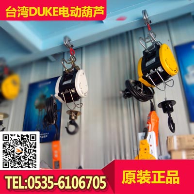 230kg|250kg迷你環(huán)鏈電動(dòng)葫蘆報(bào)