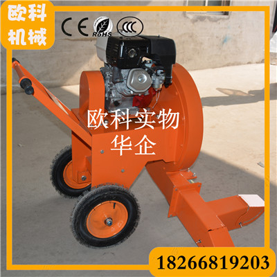 可肩背手提道路維護吹風(fēng)機 工業(yè)吹風(fēng)機