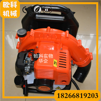 森林防火器 背負(fù)式路面吹風(fēng)機(jī)