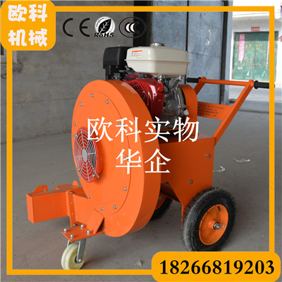 背負(fù)式吹風(fēng)機(jī) 鼓風(fēng)機(jī)